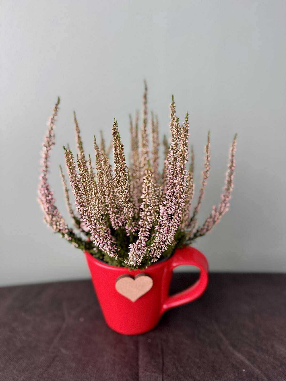 Kanarbik kohvitassis