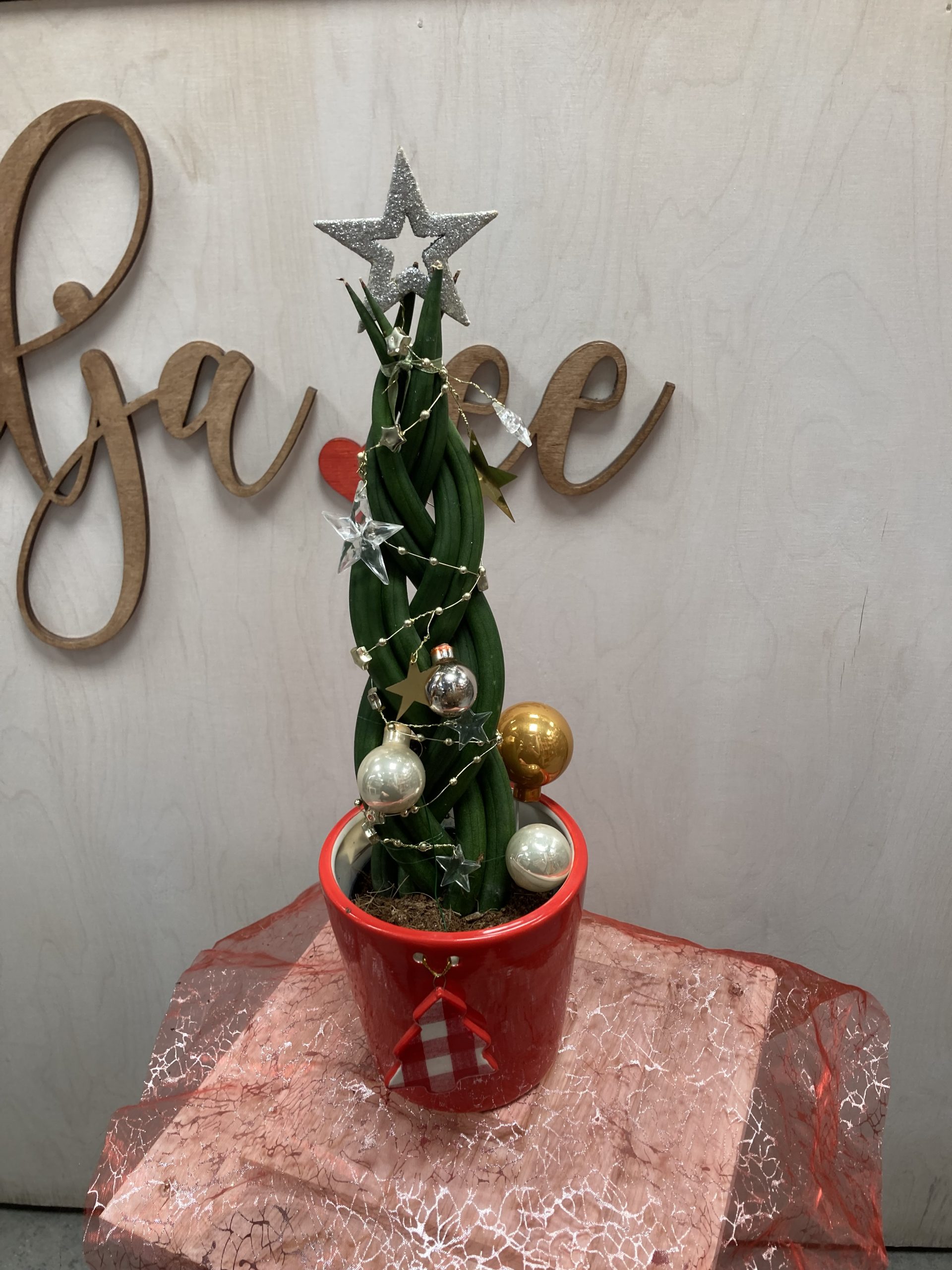 Kaunistatud potilill