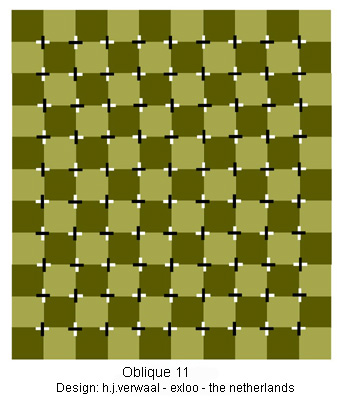 Optische Illusionen Buch Versandkostenfrei Bei Weltbild De Bestellen