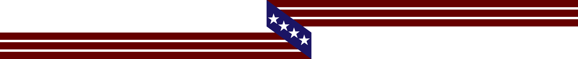 stripes4stars.webp