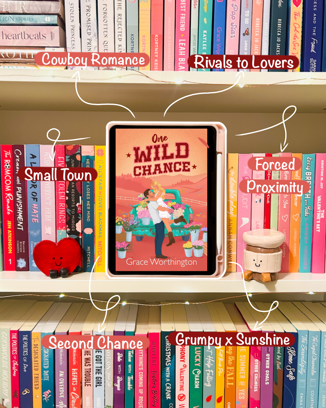 One Wild Chance by Grace Worthington (Book 1)