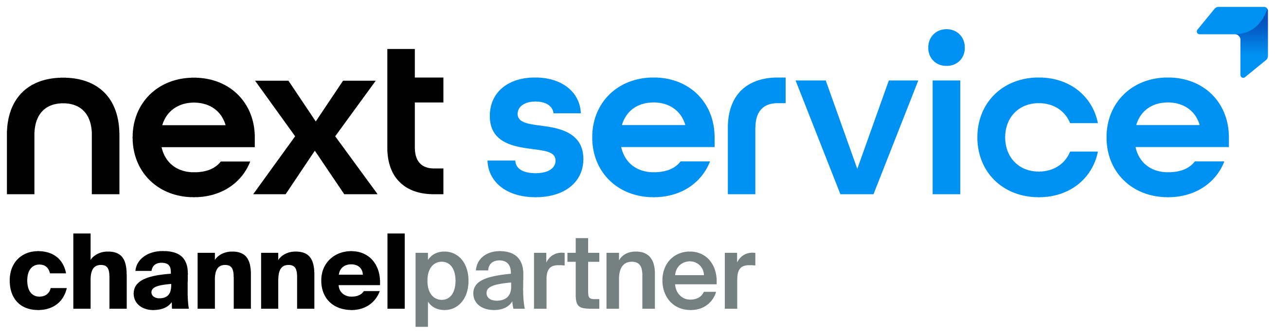 Next Service Logo Channel Partner Positive