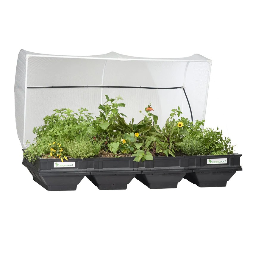 Image of Vegepod Large with a Vegepod cover on.