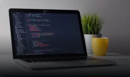 What Are Development Standards Limeup - Colorful Design Collection - Desktop Quality