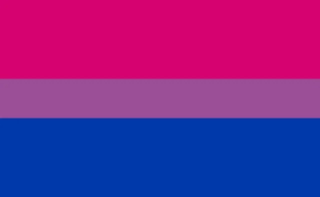 Who We Welcome Bisexual flag
