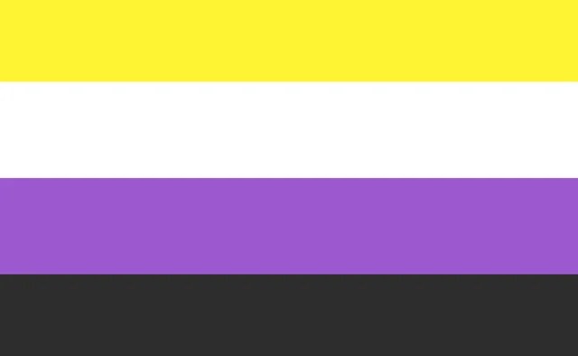 Who We Welcome Non-binary flag