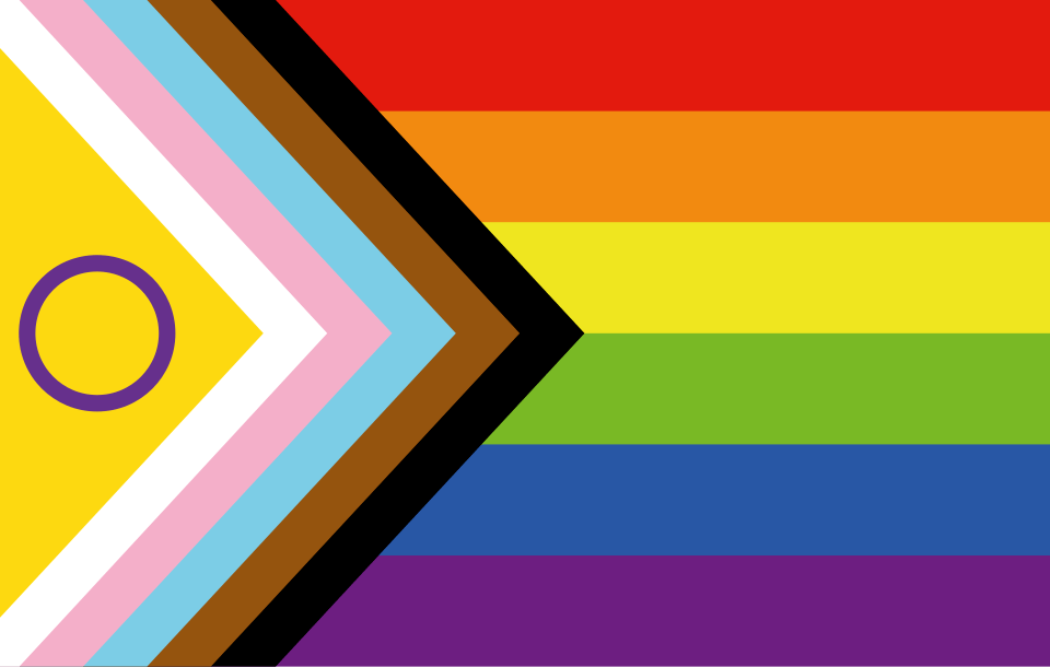 Who We Welcome LGBTIQASB+ flag
