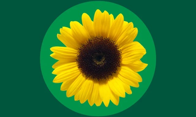 Hidden Disabilities Sunflower, symbol for Hidden disabilities