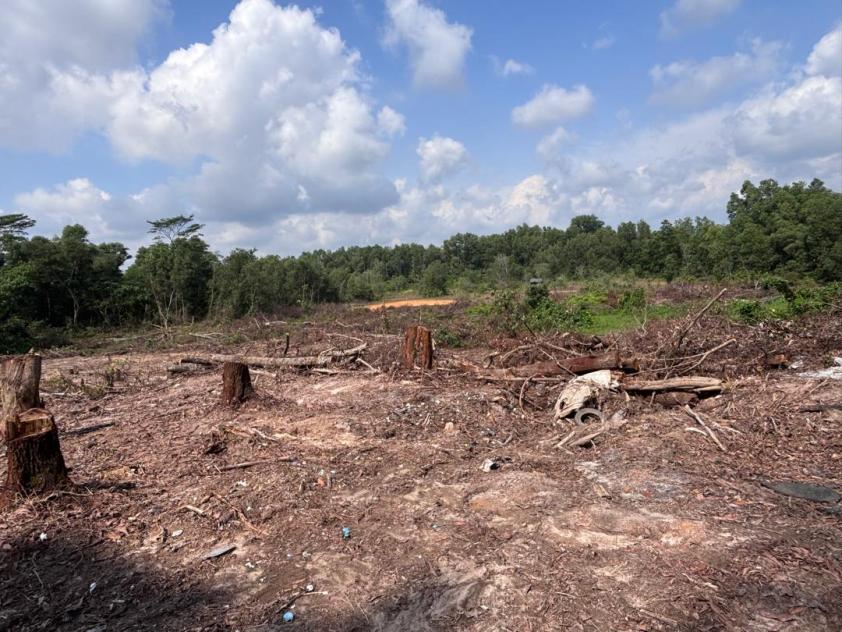 site progress 1