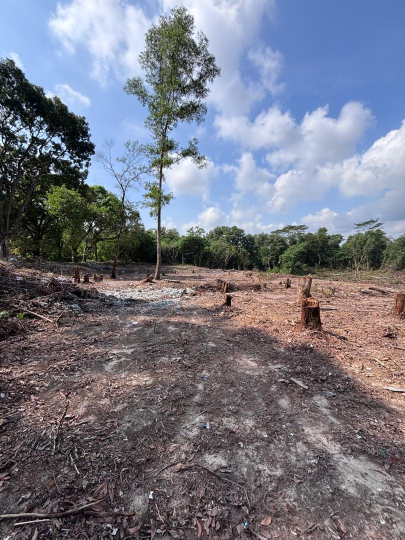 site progress 2