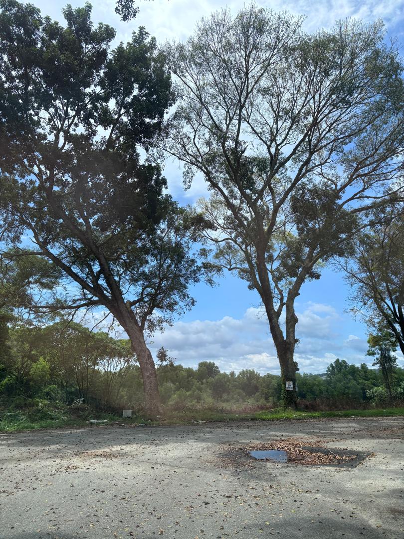 site progress 6