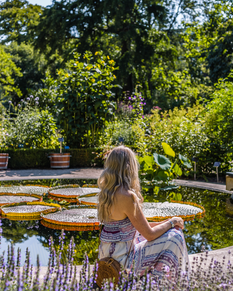 Hortus Botanical Garden in Amsterdam