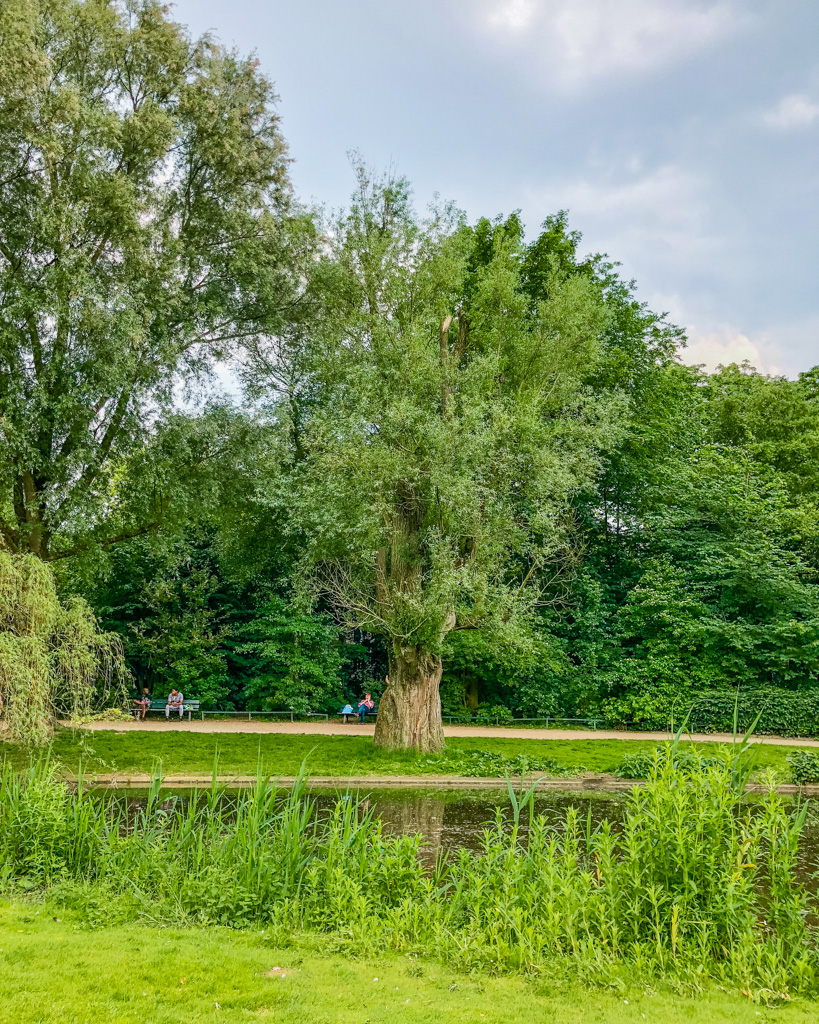 Sarphatipark, park in De Pijp - Amsterdam