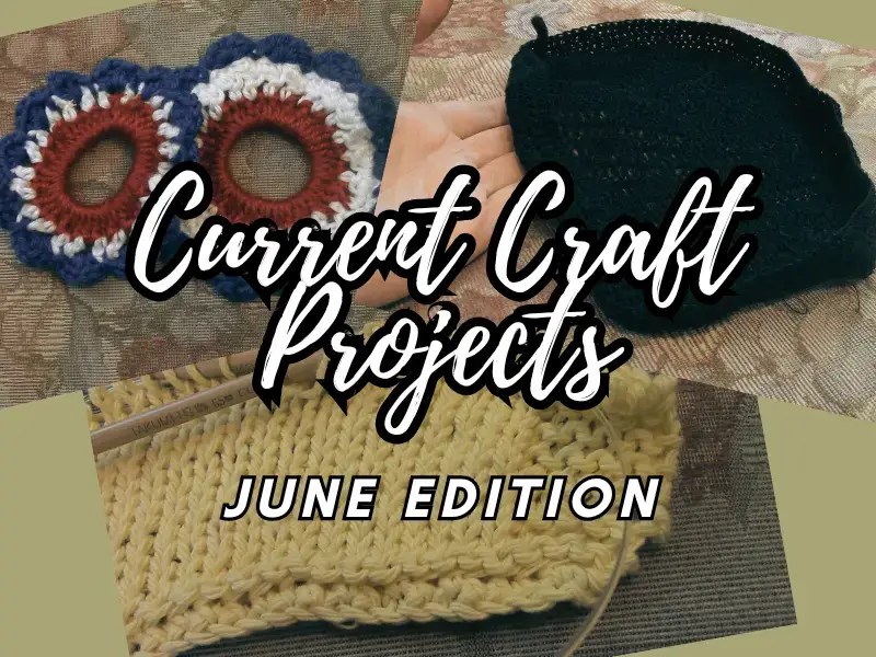 Current Craft Projects June Edition