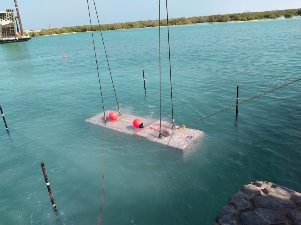 Excavation works and Quaywall placing at Al Fiyay Island, Abu Dhabi