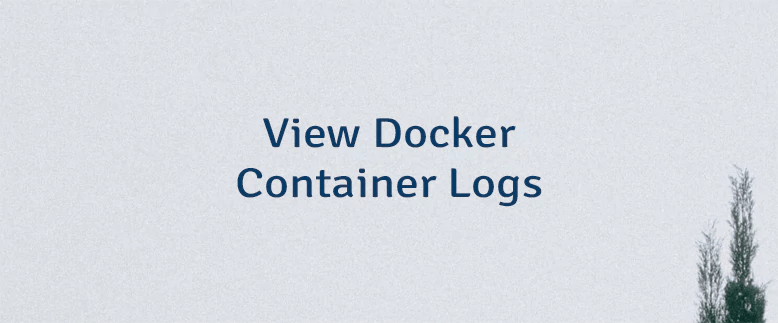 View Docker Container Logs | Lindevs