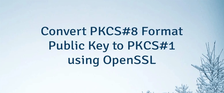 Java Pkcs8 Php Java Pkcs 8 Php Pkcs 8 Csdn - Modern Desktop Vintage Textures | Free Download