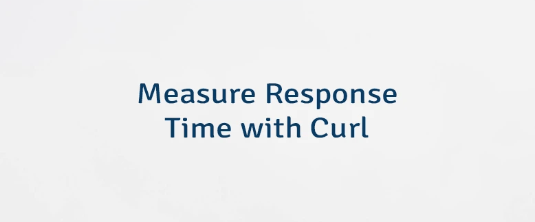 Measure Response Time With Curl Lindevs - Space Photos - Premium Desktop Collection