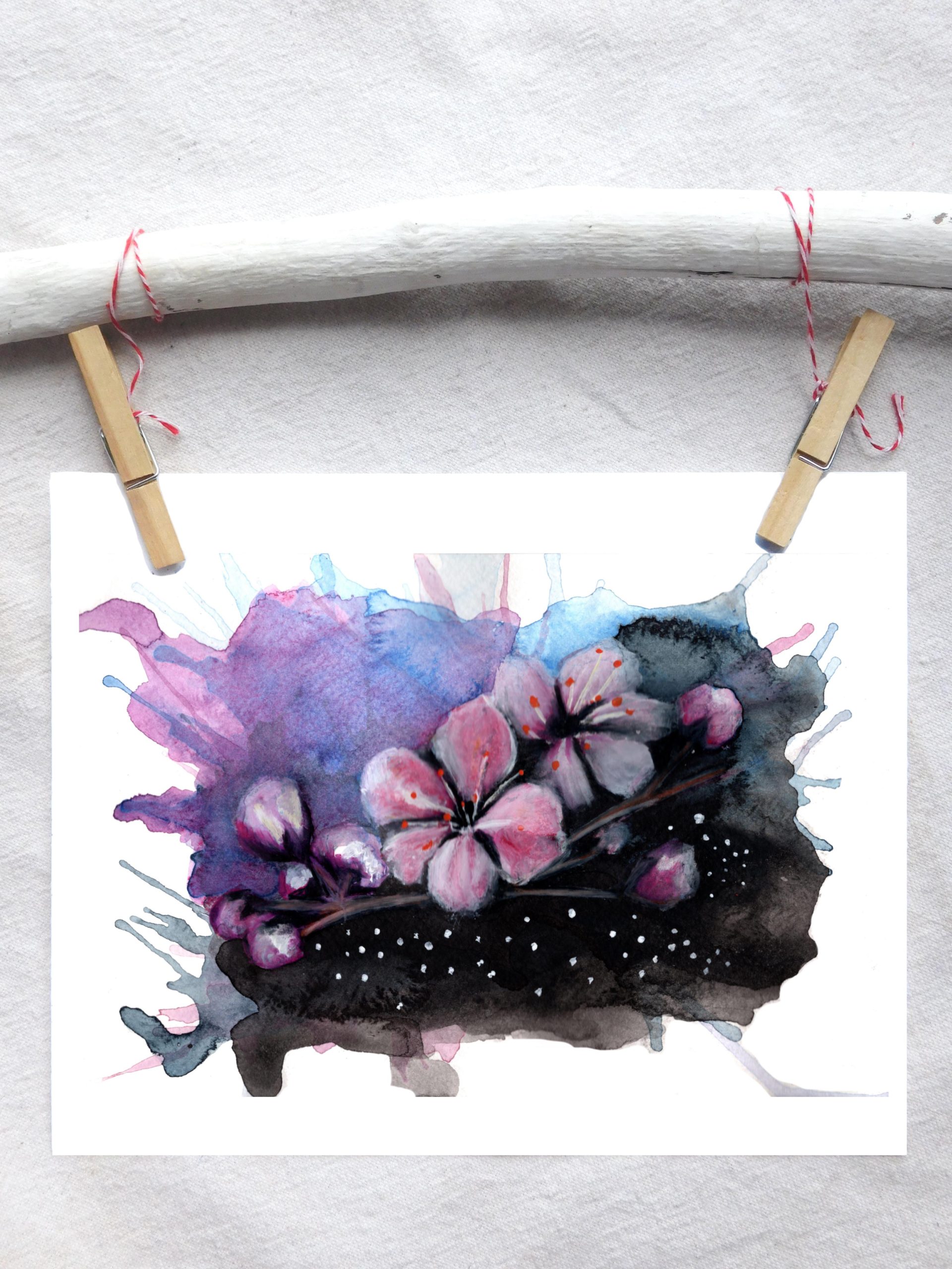 Cherry Blossoms
