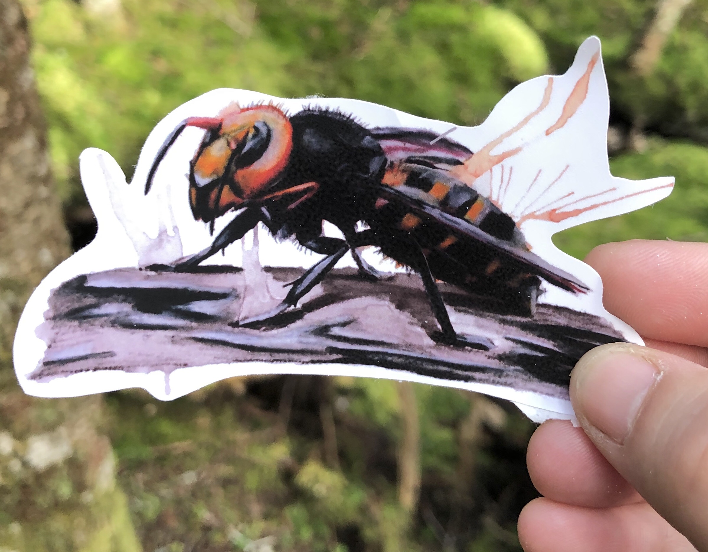 Asian Hornet Sticker