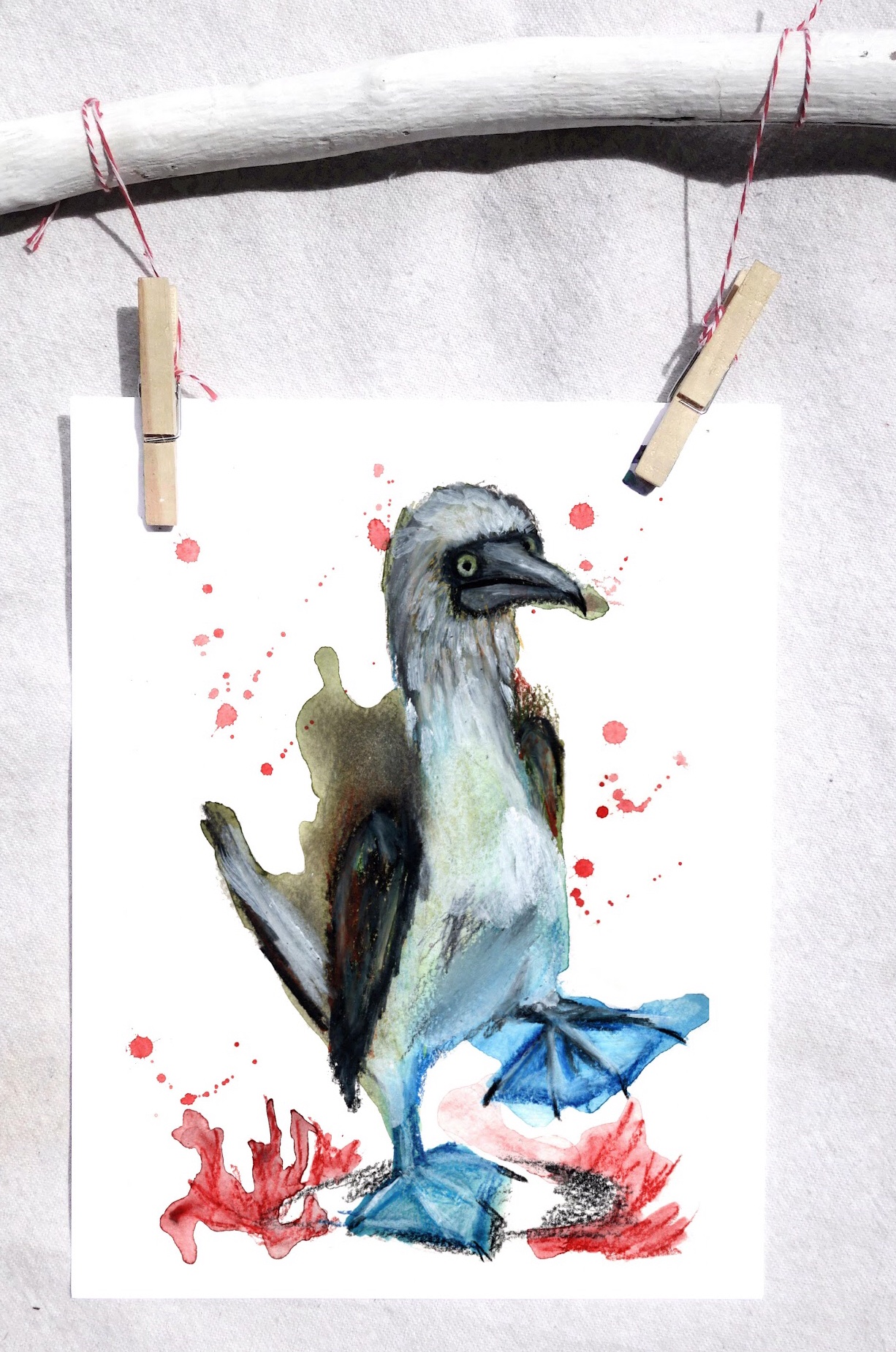 Blue-footed booby