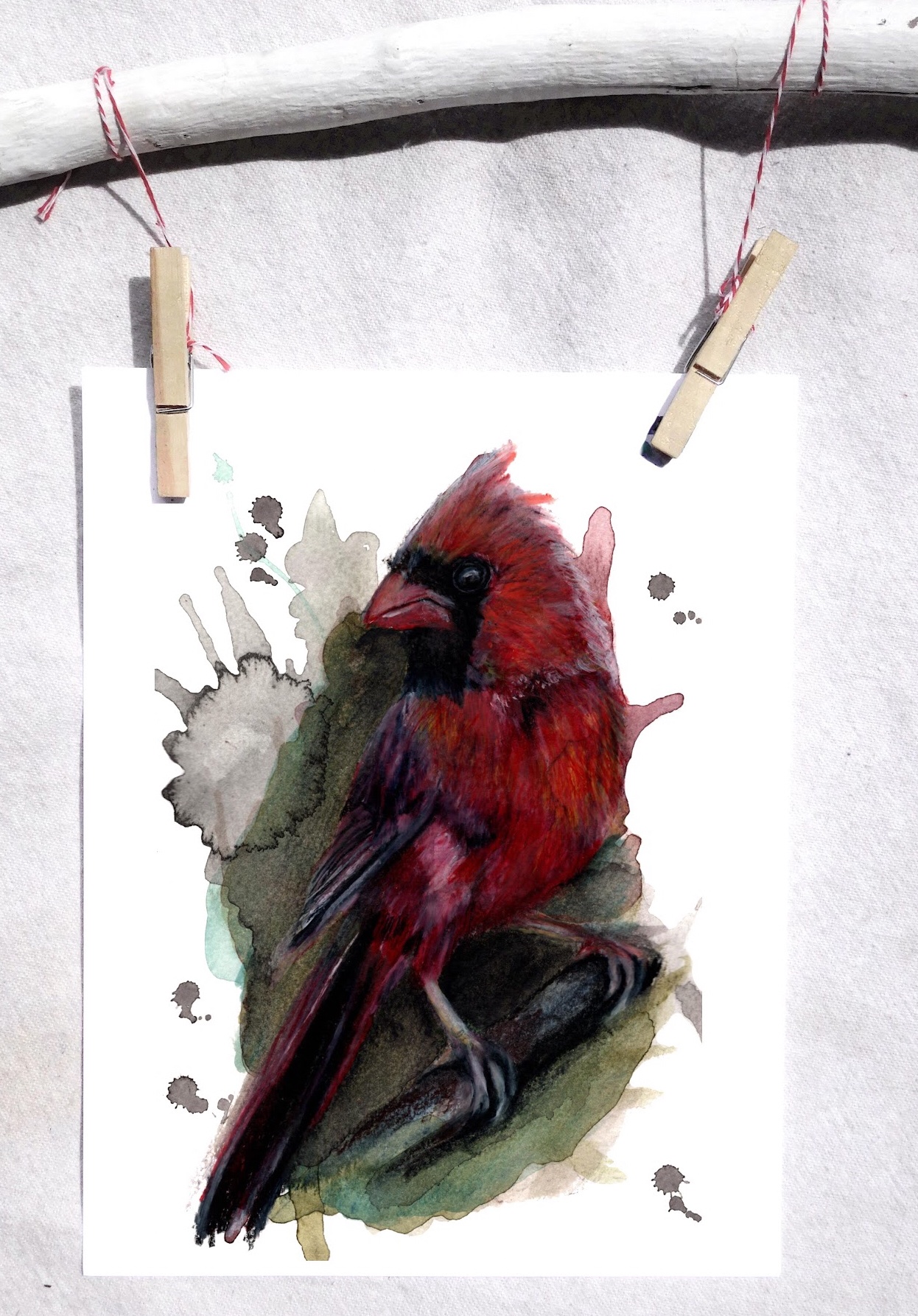 Cardinal