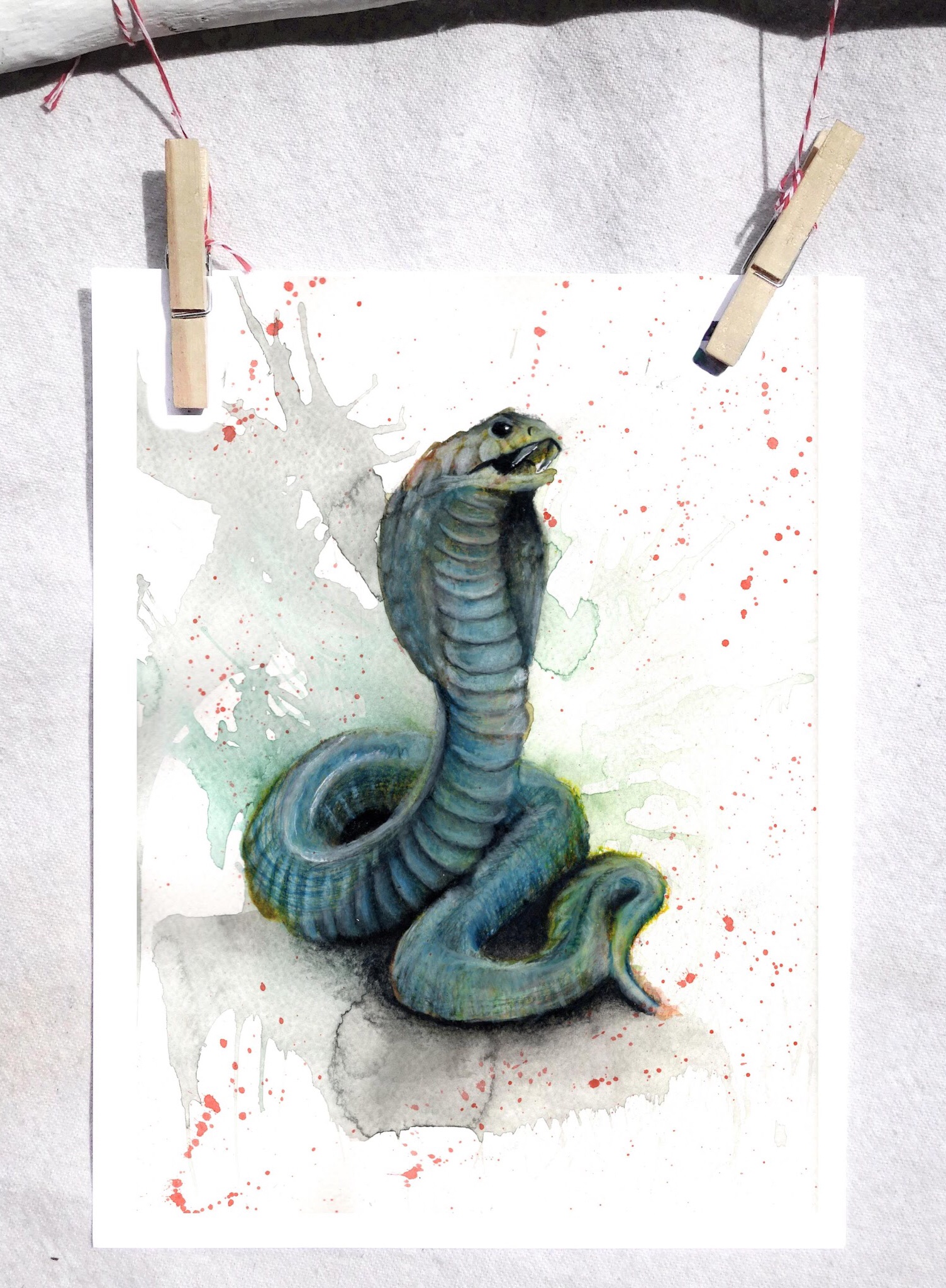 King cobra
