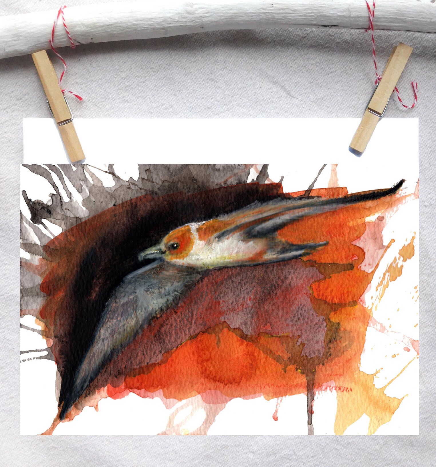 Common tern