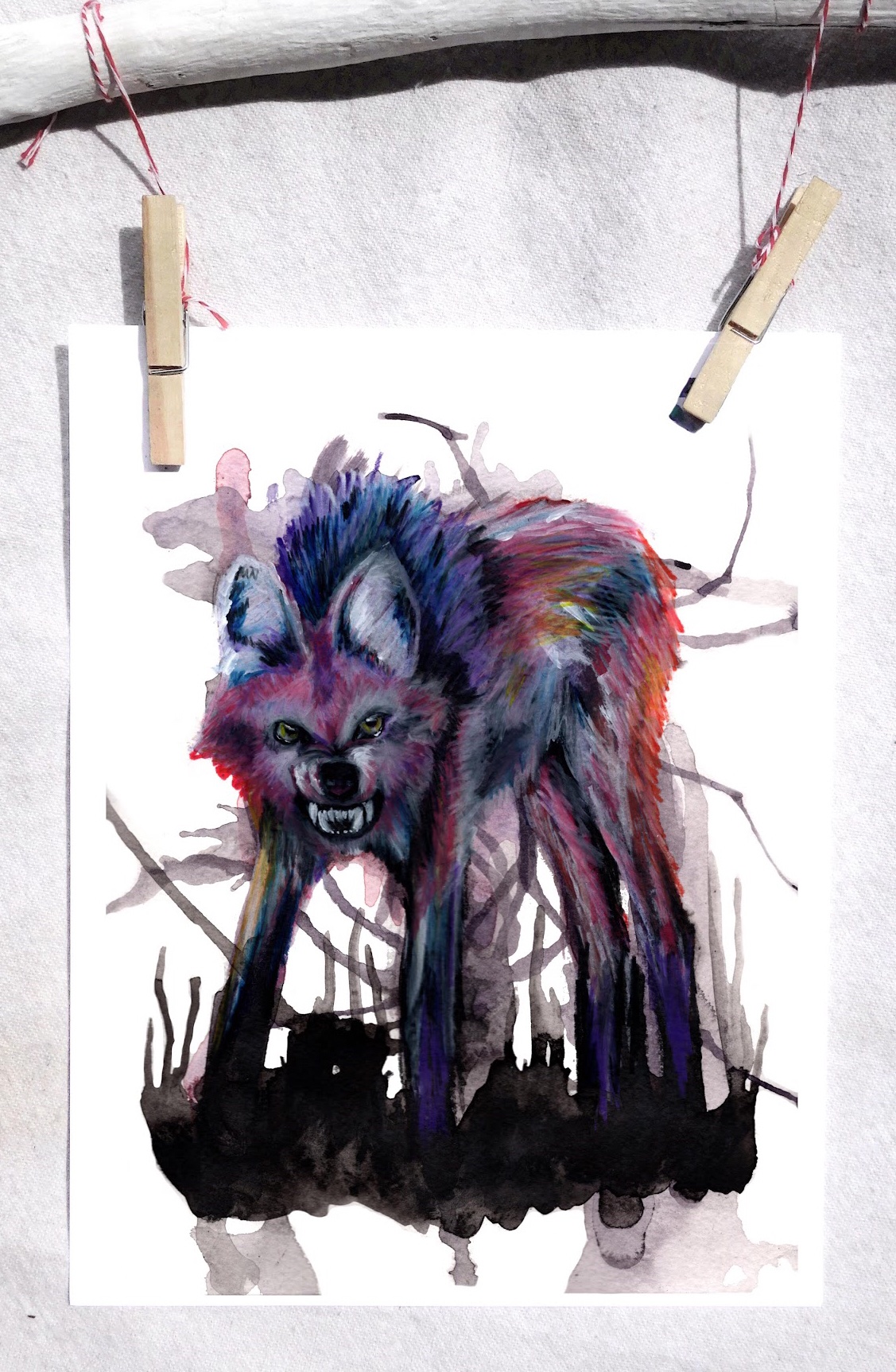 Maned wolf