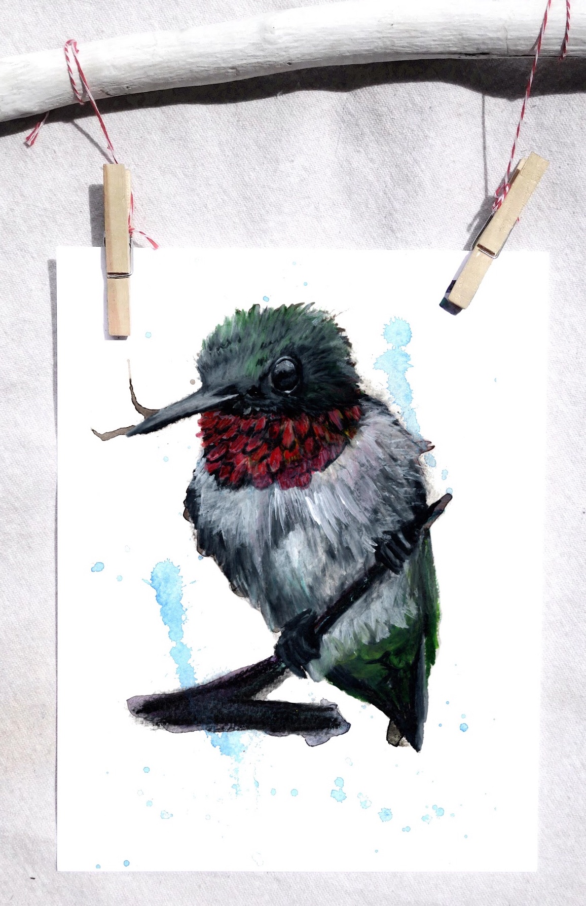 Ruby red throated humming bird