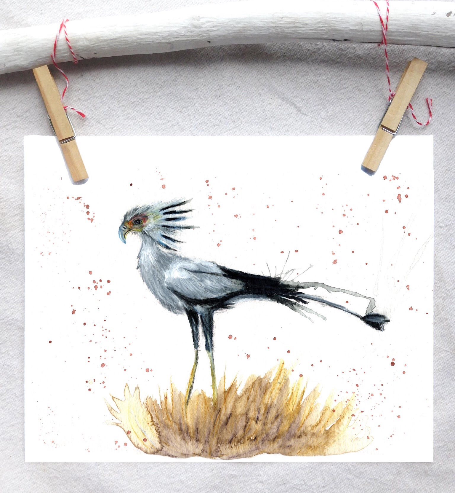 Secretary bird