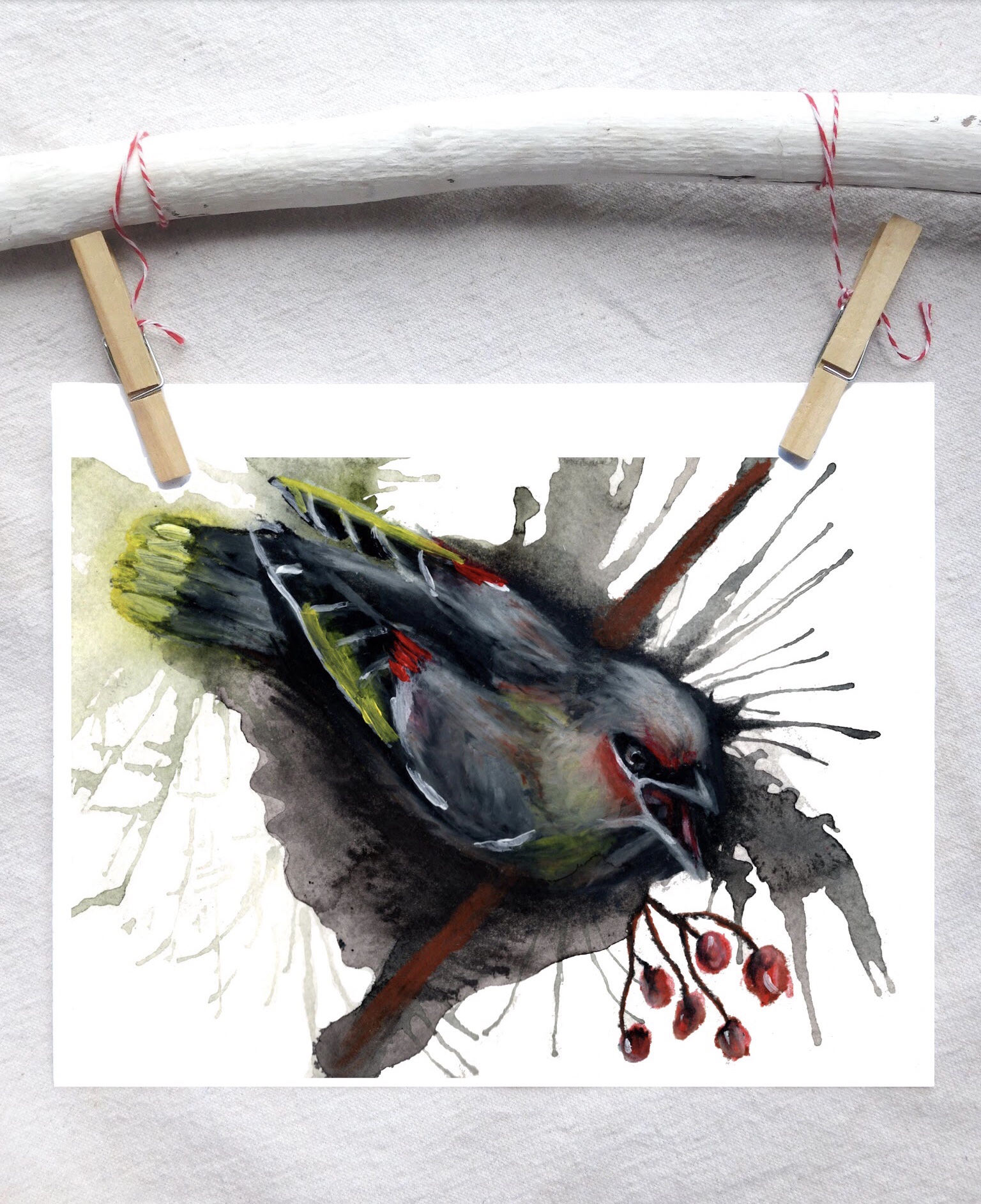 Cedar waxwing