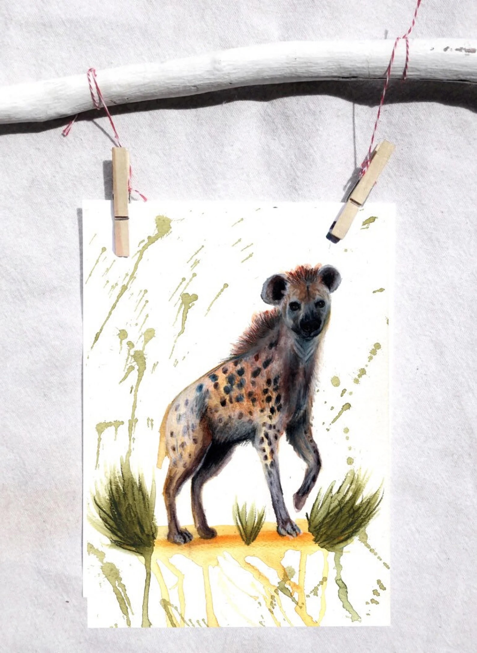 Spotted hyena