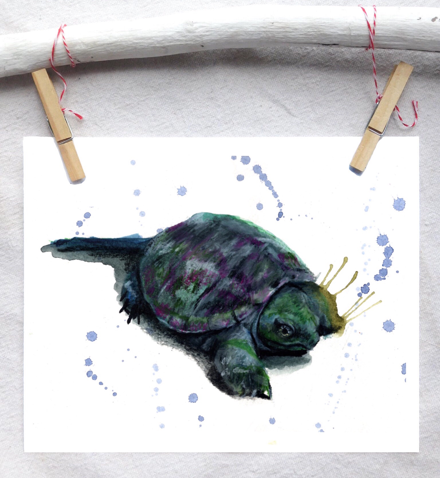 Snapping turtle