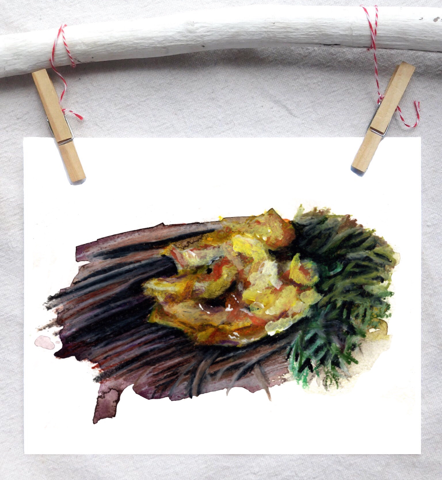 Witches butter