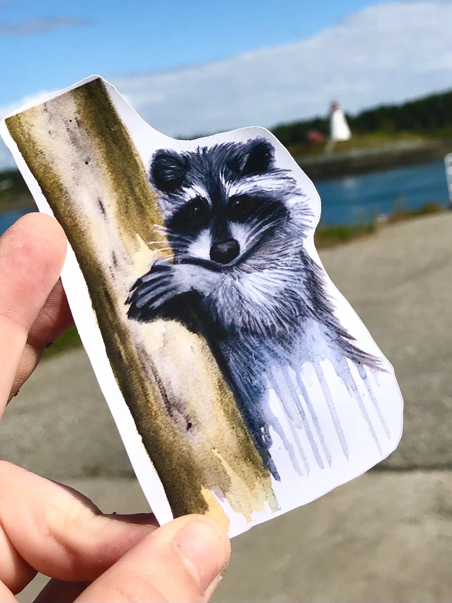 Raccoon sticker