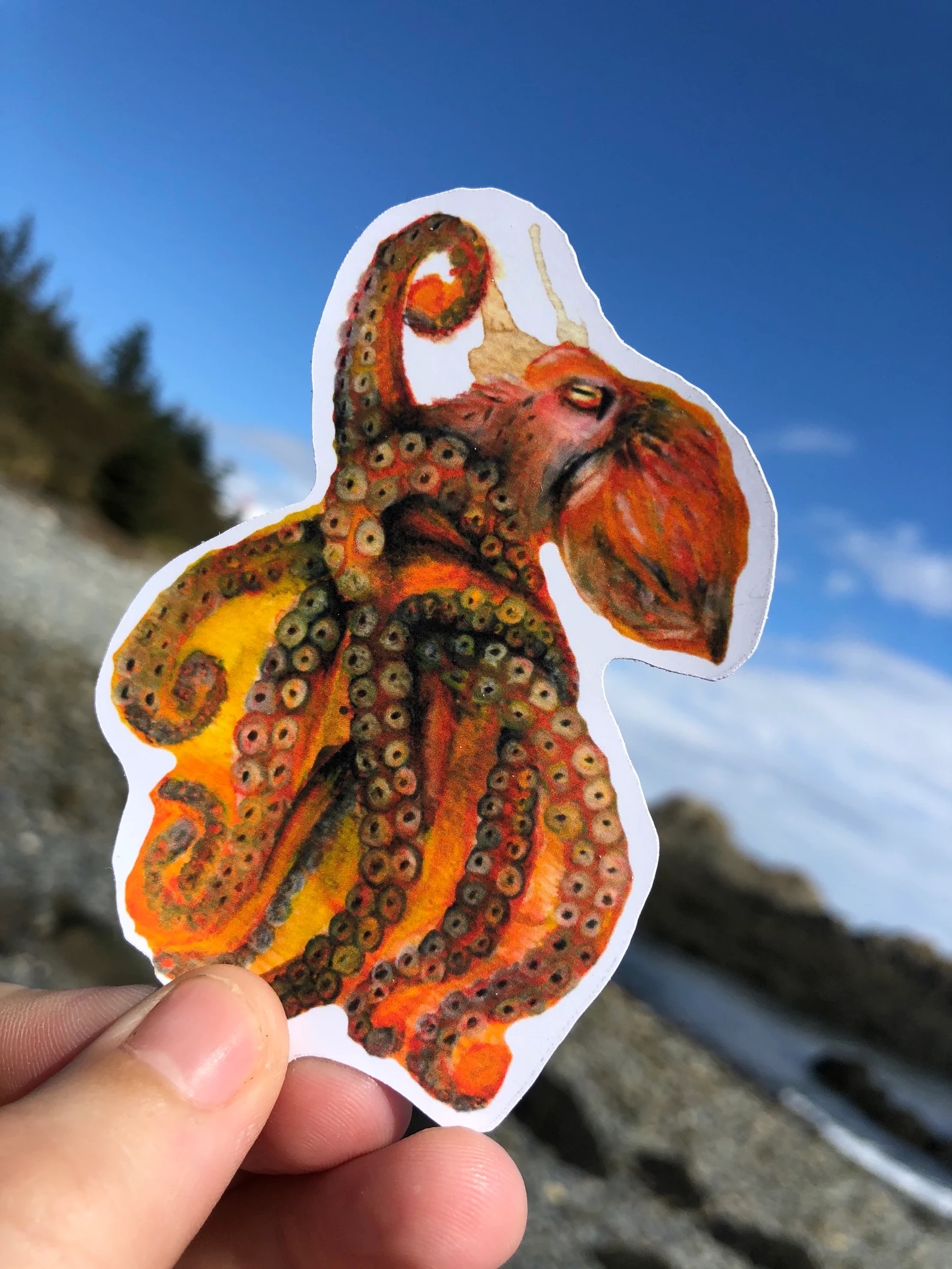 Pacific octopus sticker