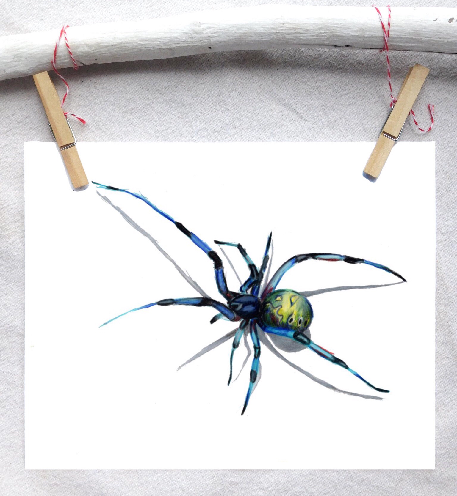 Brown widow (radioactive colors)