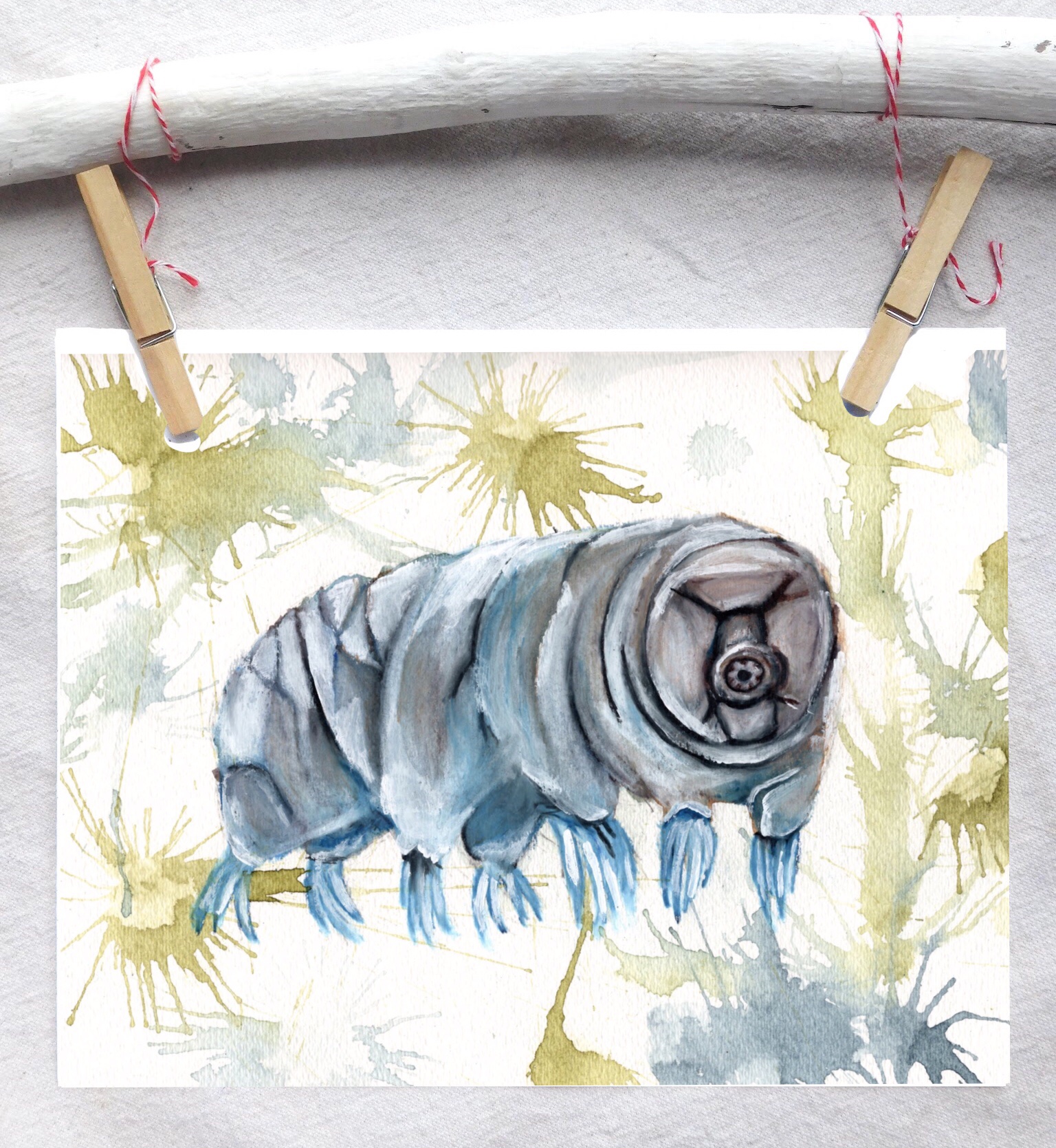 Tardigrade