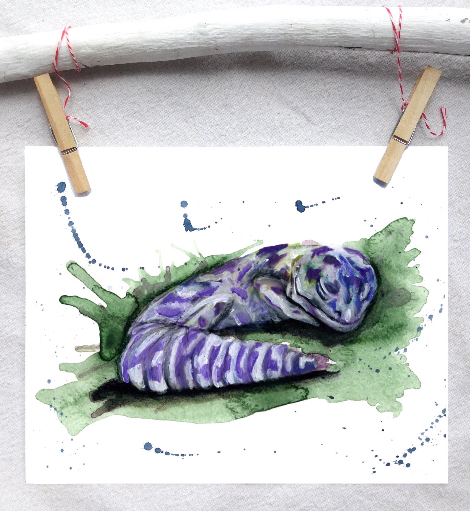 Leopard gecko (lavender)