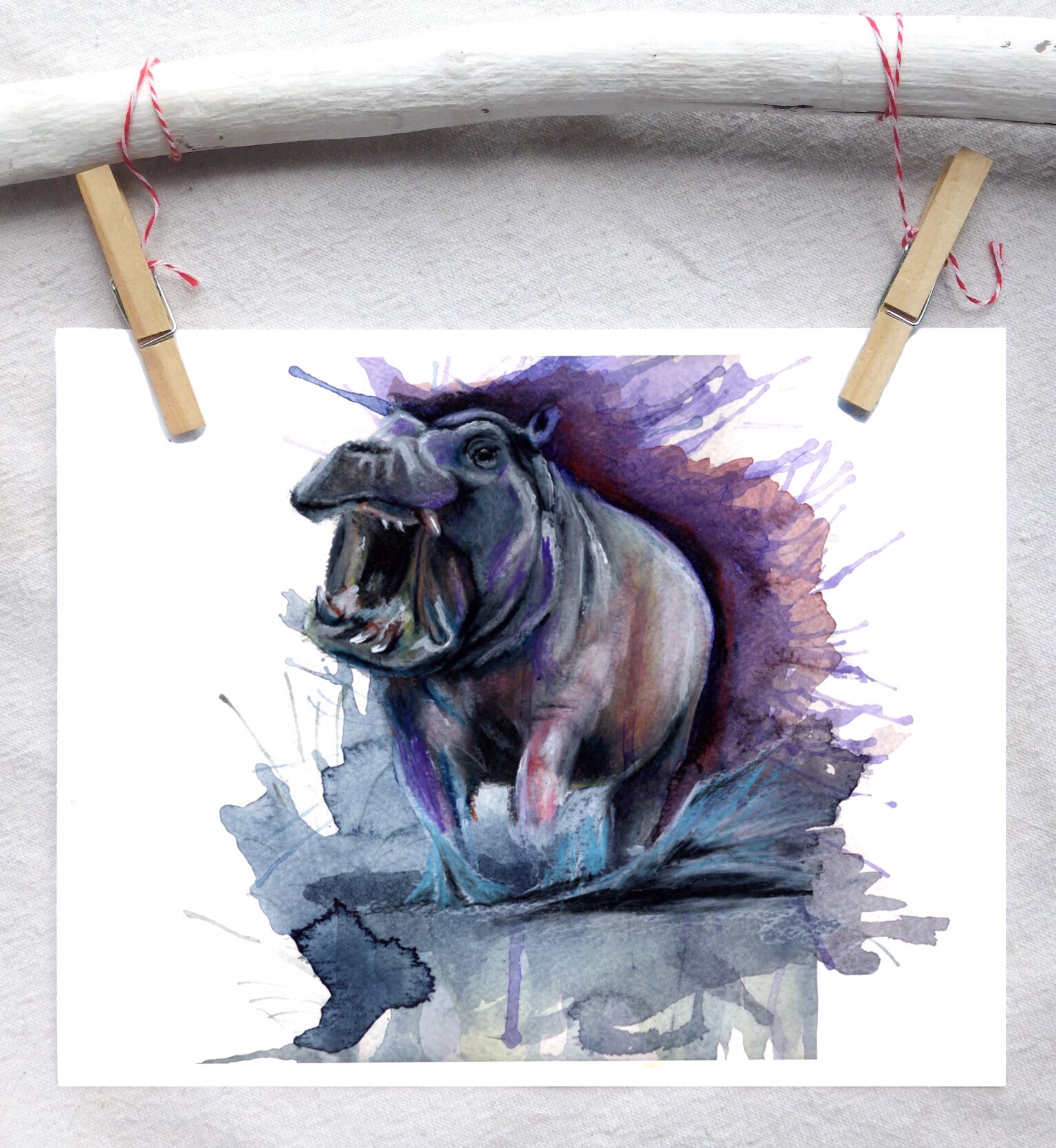 Hippopotamus