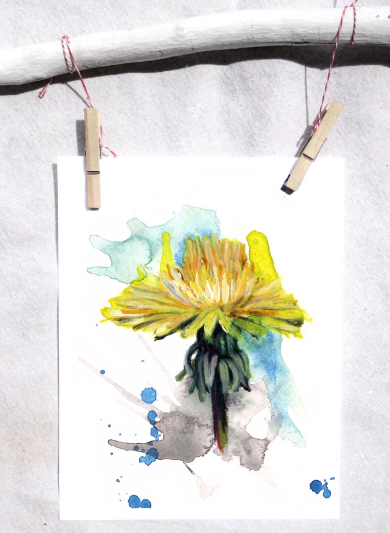 Dandelion