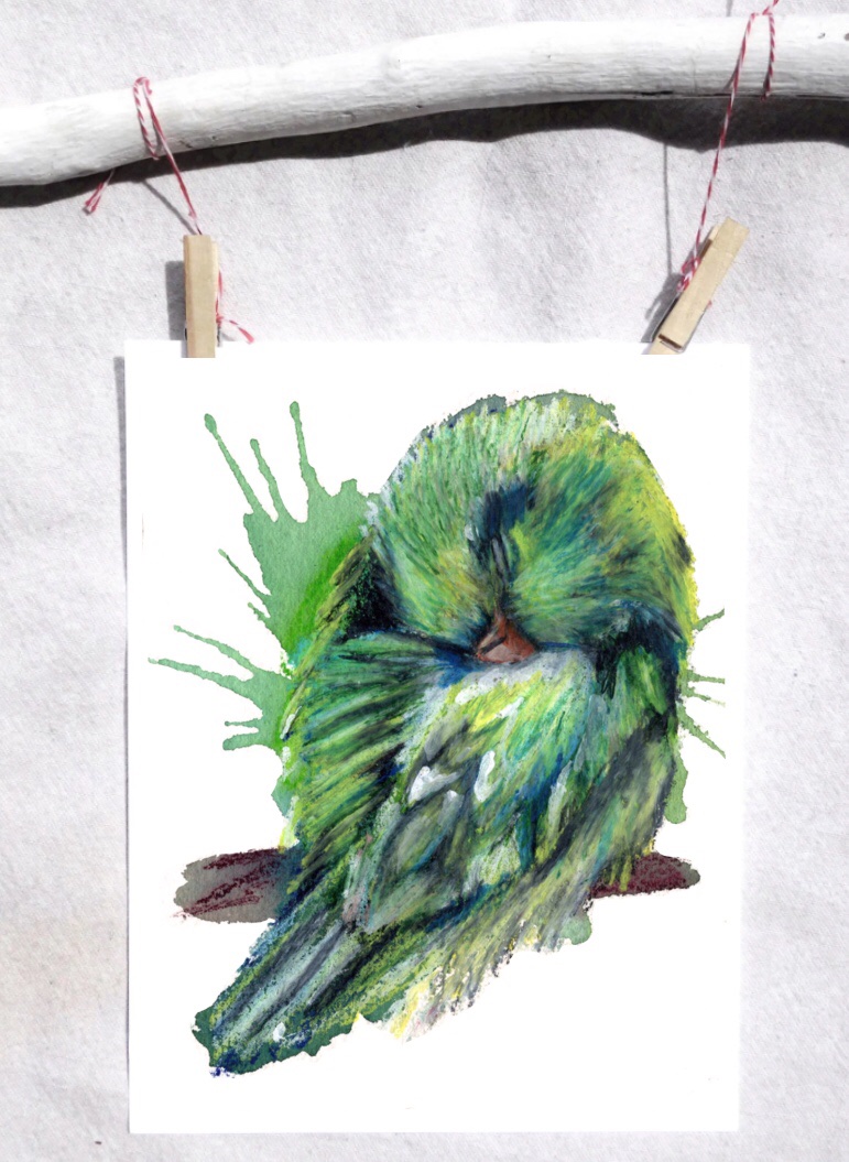 Parrotlet