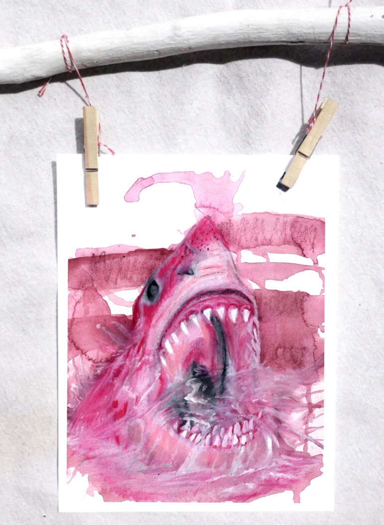 Great white shark (in pink)