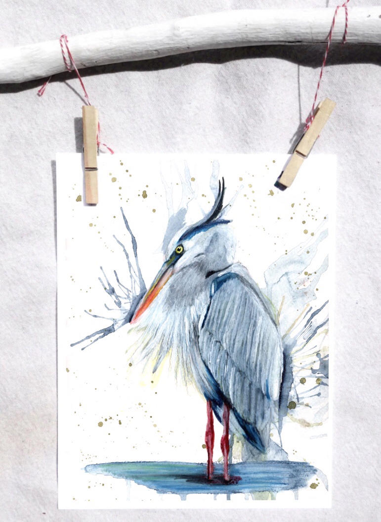Great blue heron