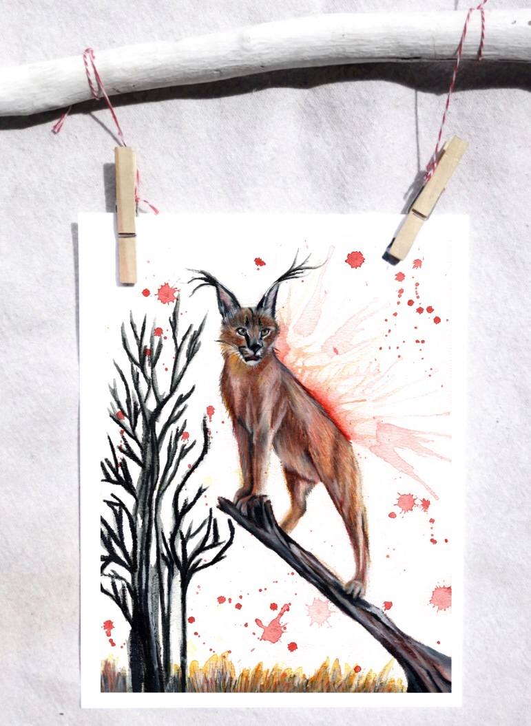 Caracal