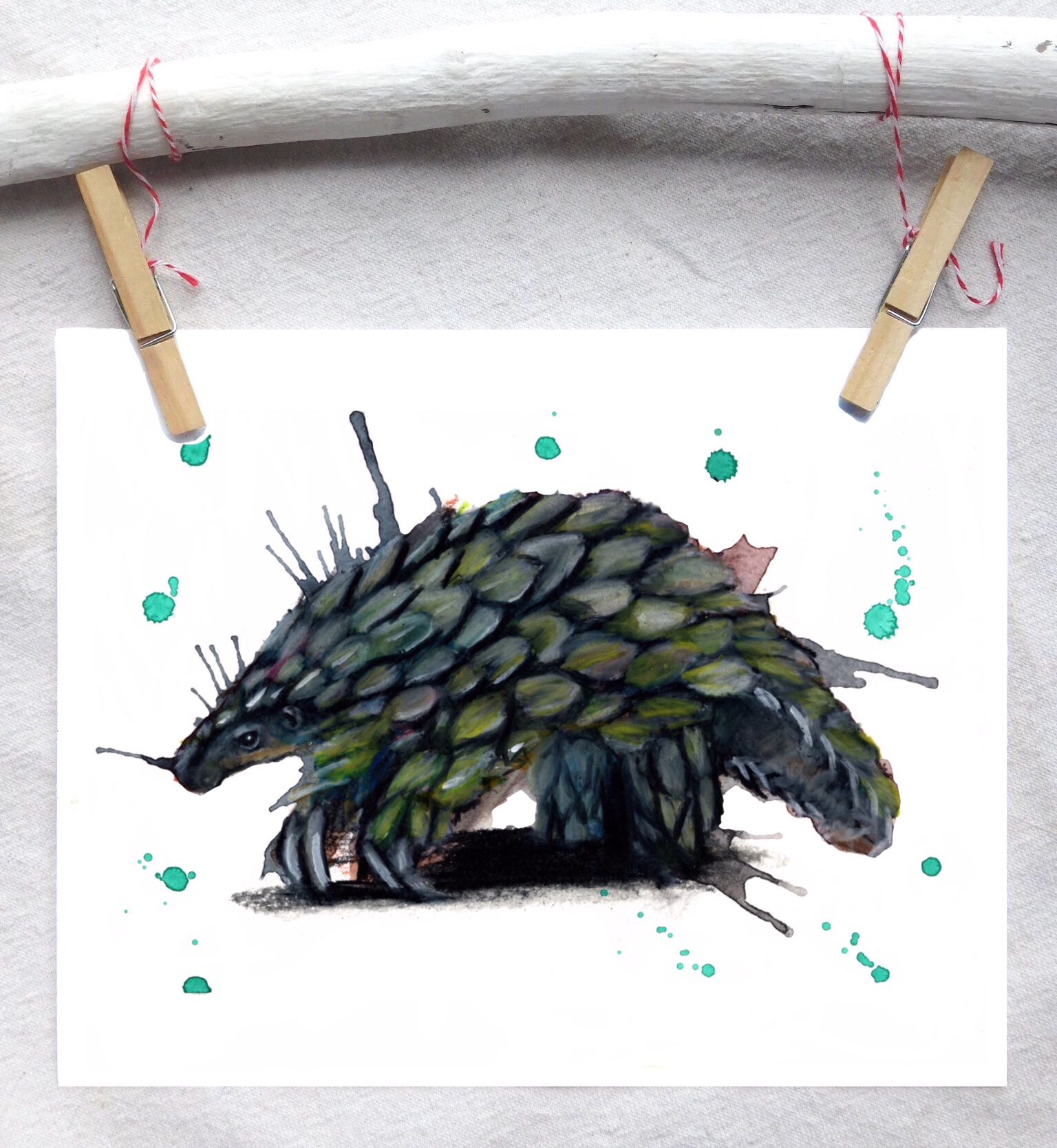 Ground pangolin