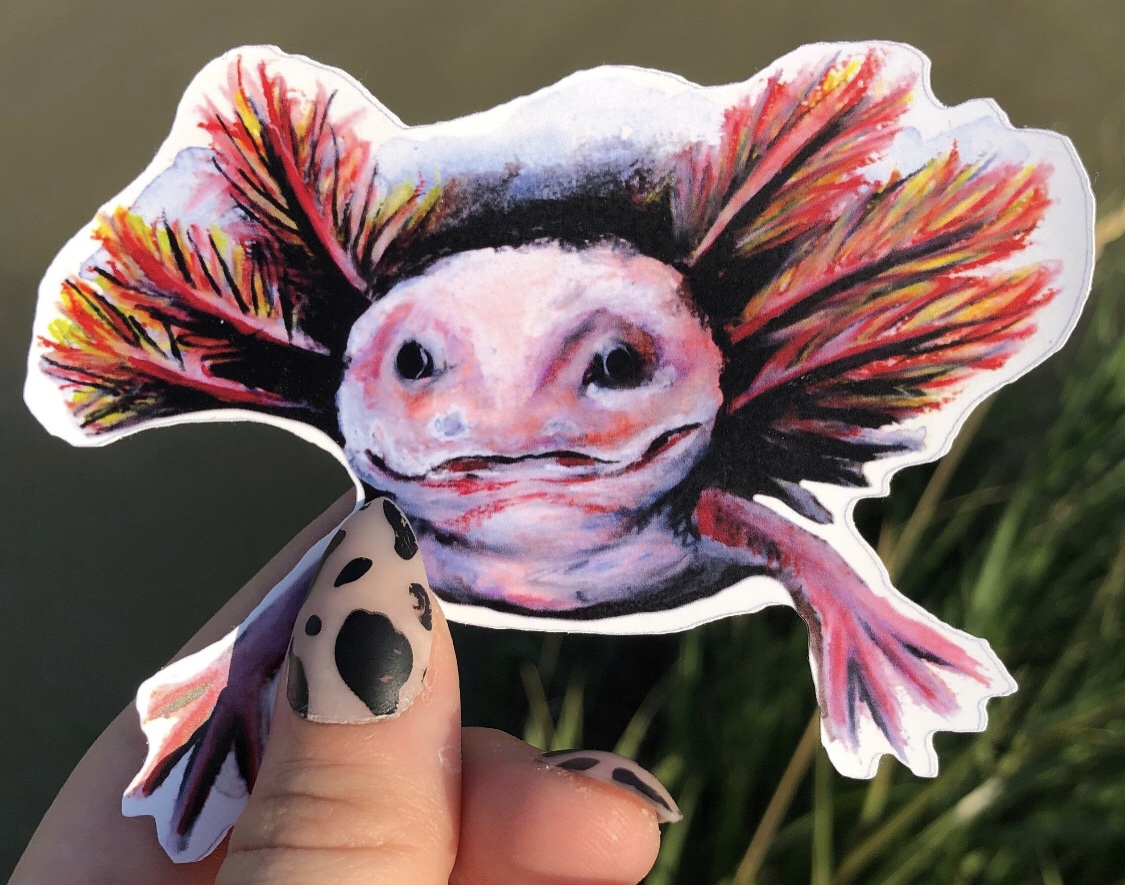 Axolotl sticker