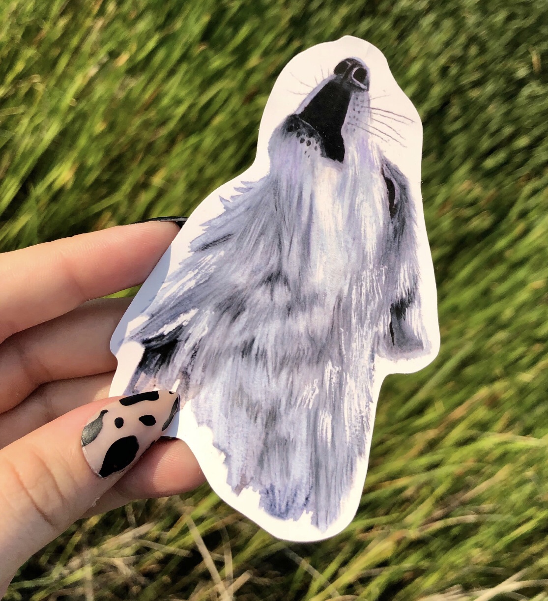 Gray wolf Sticker