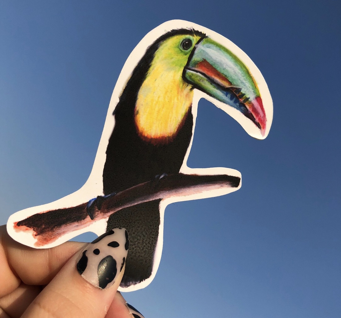 Keel-billed toucan sticker